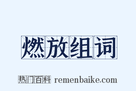 燃放组词是什么意思的图片